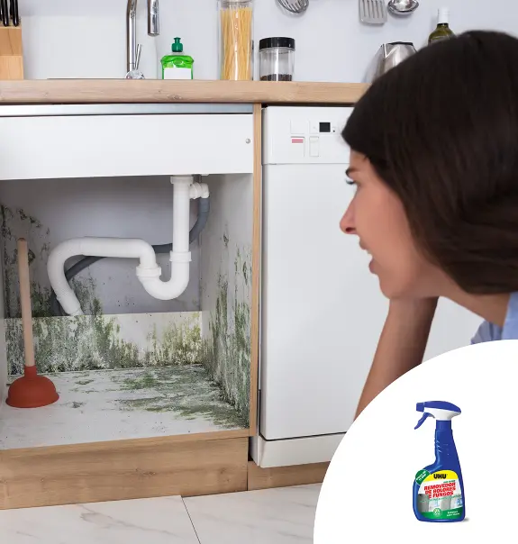 Combater-Bolor-Arma-urios-e-Mo-uveis-1150x1208px