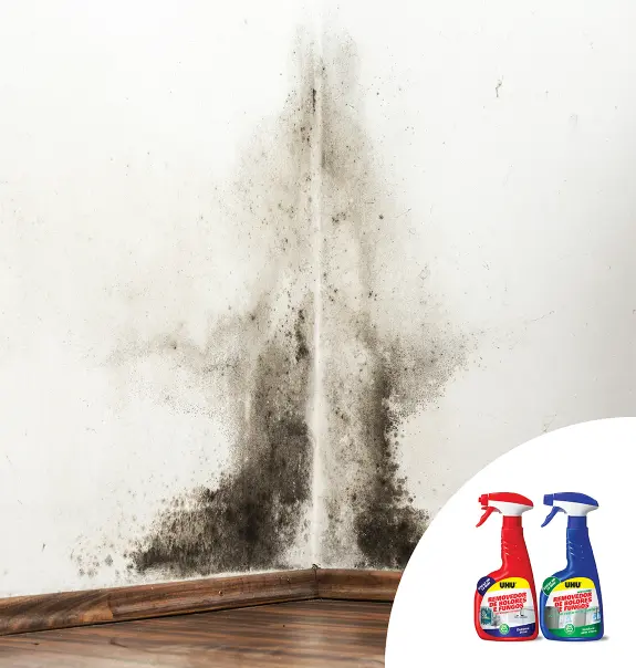 Combater-Bolor-Parede-1150x1208px