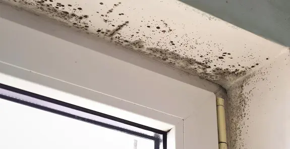 rbf_header-mobile-narrow