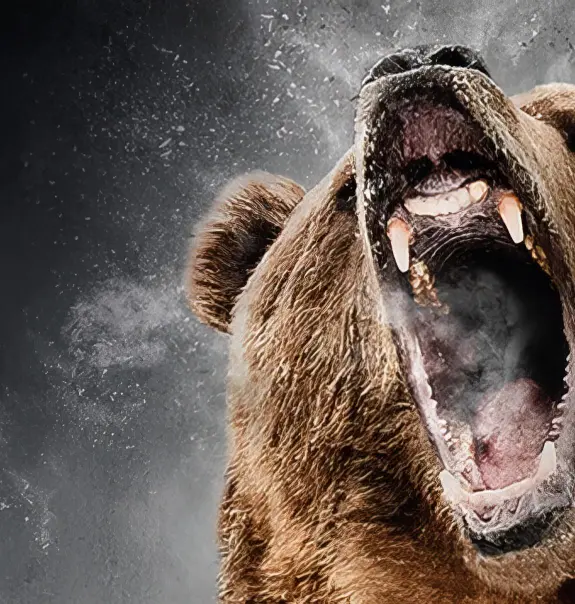 masthead_grizzly_montage-mobile